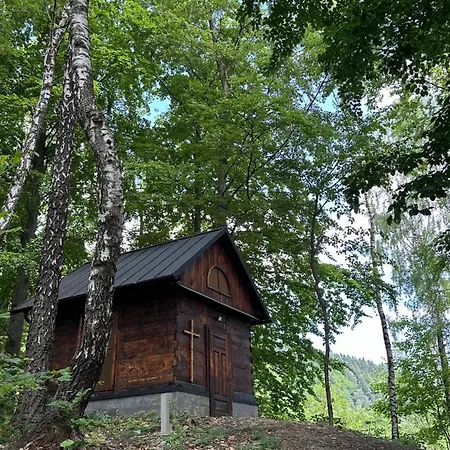 Forest Berest